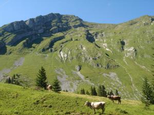 Frühstückspension Rüf