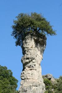 Vacanza in Ogliastra img41