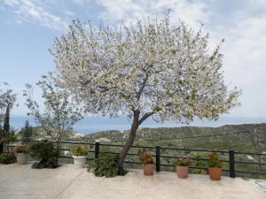 Green Villa Lefkada Greece