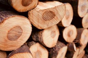 Fellview Guest House