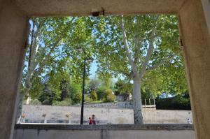 Appartements face au Palais des Papes : photos des chambres