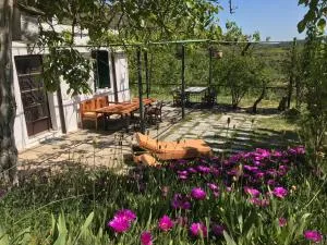 Temenia House - Agrilés