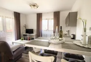 Filip Apartment - Selište