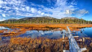 Pyhän Kortepuolukka