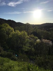 Maisons de vacances le clos des Vins d'anges : photos des chambres