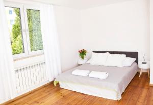 Zen House no 1