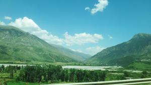 Apartments in White Residence