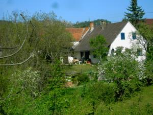 Chata Haus Auerböck Rohrbach an der Lafnitz Rakousko