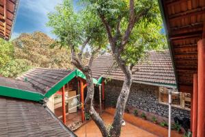 Cosy Homestay by StayVista - A Tranquil Retreat on Cloud 9