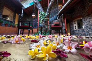 Cosy Homestay by StayVista - A Tranquil Retreat on Cloud 9