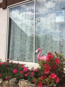 Maisons de vacances Chez les Martin : photos des chambres