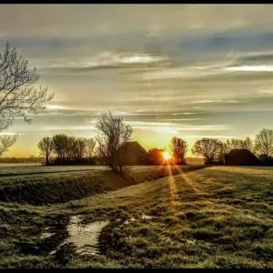 Vita Nova - Wieringerwerf