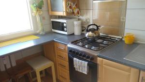 Apartament Nad Czosem