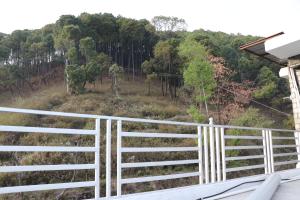 Hotel Ashiana Palampur