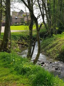 Appartements Gite des etangs de Saint Bale : photos des chambres