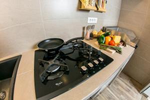 Luxury apartment Elis with private pool