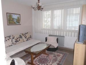 Apartment Goran