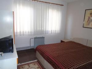 Apartment Goran