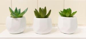 Appartements Le parc de l'Hermitage : photos des chambres