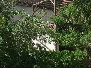 Gîte au cœur du Lot, la maison de Pauline photo 15