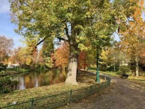 Maisons de vacances Romance au coeur de Bordeaux / Jardin Public : photos des chambres