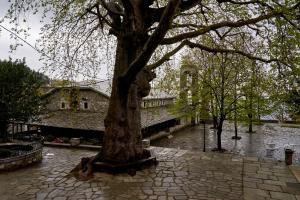 Hotel Atrapos