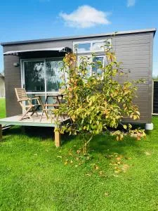 40 Winks - 怀托摩洞穴