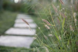 The Royal Fischer Hotel