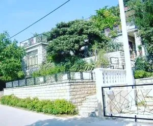 Apartment 51 - 格基卡琳