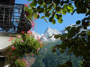 Single Room with Mountain View room in Hotel Du Clocher