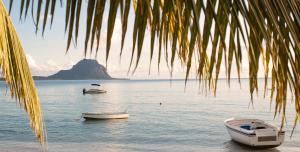 La Mariposa Mauritius