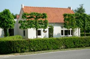 Holiday home Dijkstelweg 30 - Ouddorp with terrace and very big garden, near the beach and dunes