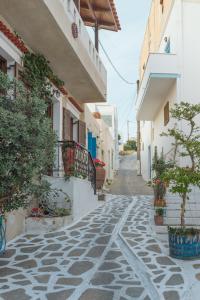 Thymianos Apartments Naxos Greece