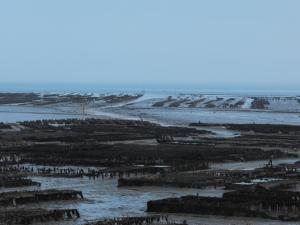 Au gite des viviers de la houle
