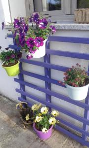 Alma Bed & Breakfast img19