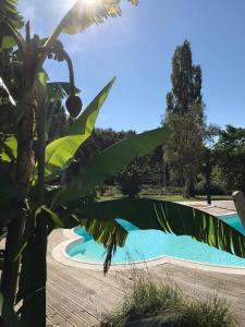 Maisons de vacances La Porcherie : photos des chambres
