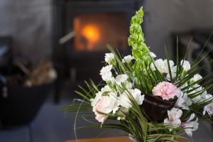 Dunguaire Thatched Cottages