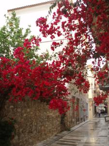 Polyxenia Hotel Argolida Greece