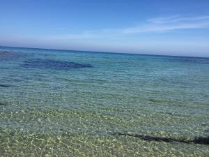Jakoma Mare img11