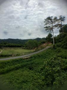 Hana Guesthouse