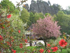 Apartment Panteon Basecamp