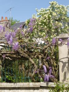 B&B / Chambres d'hotes La Petite Vigne : photos des chambres