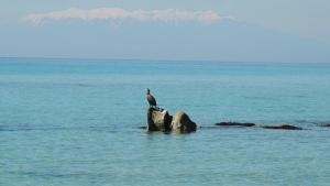 Spiti Kipos Halkidiki Greece