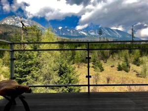 Apartman pod Gerlachom s wellness