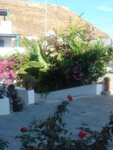 Karabo Hotel Astypalaia Greece