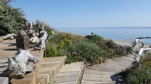 Hotels Levolle Marine : photos des chambres