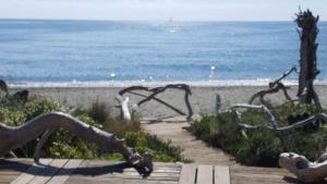 Hotels Levolle Marine : photos des chambres