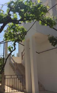 Apartments Milica