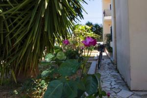 Oliva Holiday Homes Achaia Greece