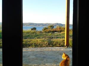 Marvelous Sea View Eco Studio Ammouliani Greece